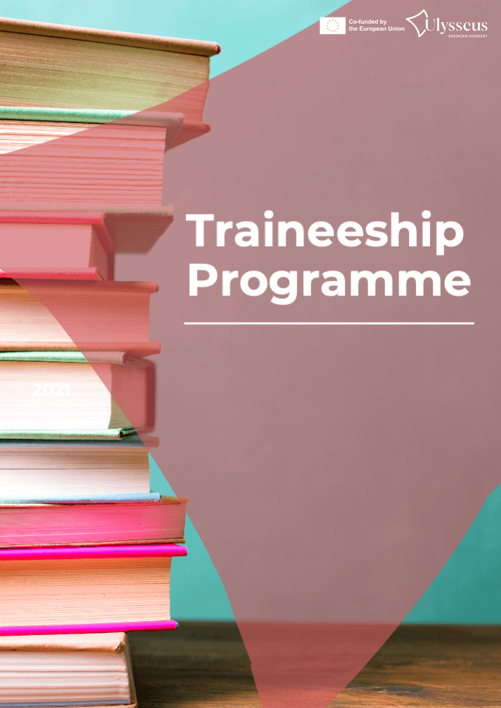 Ulysseus Traineeship Programme