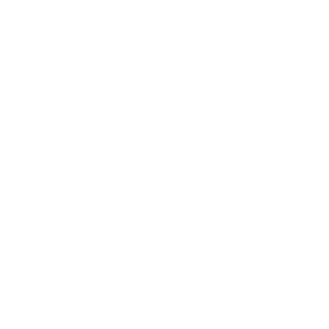 Icon of org chart led by a woman