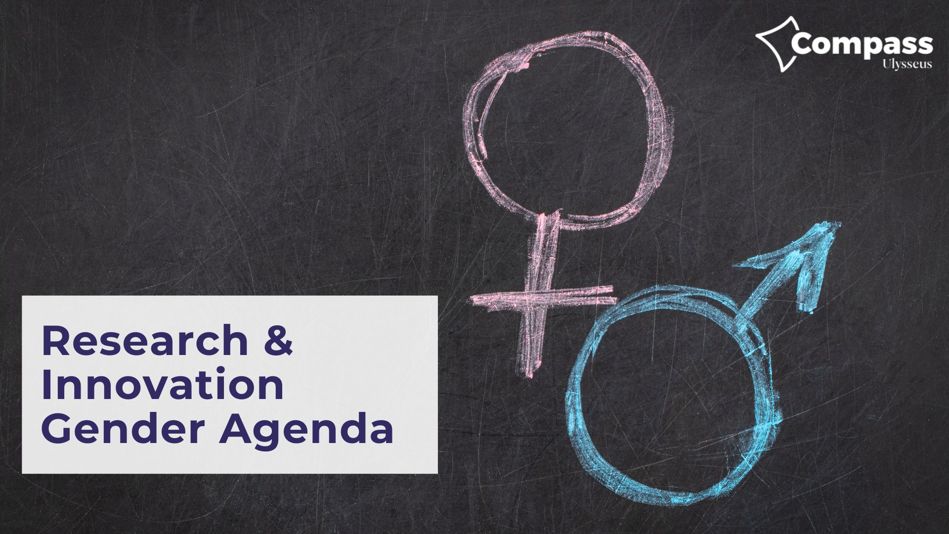 Ulysseus Research and Innovation Gender Agenda