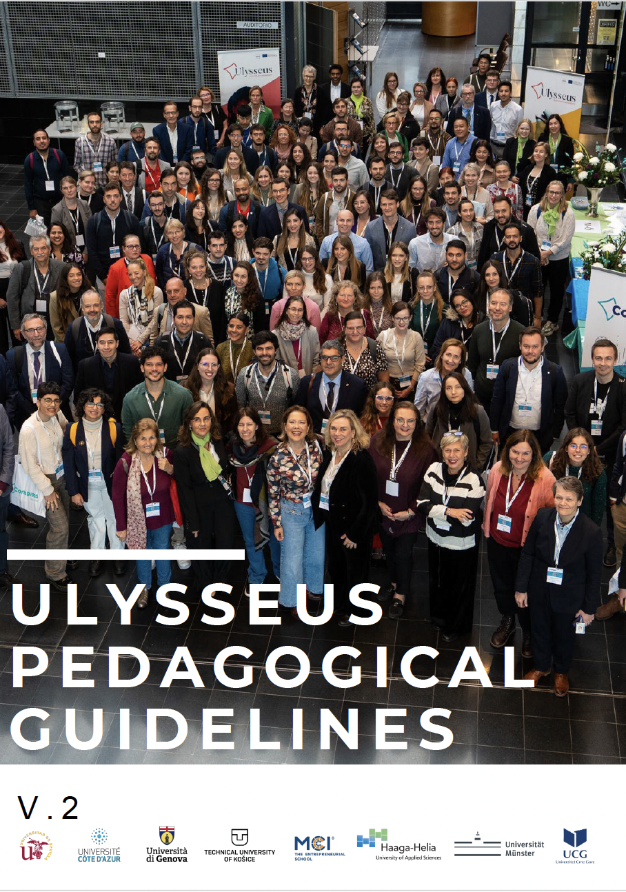 Ulysseus Pedagogical Guidelines